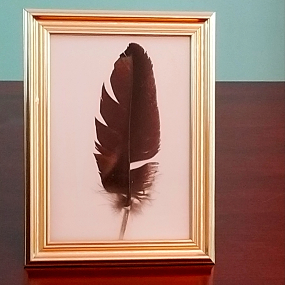 Featherwork/ 5×7 Framed Wall or Stand Alone Decor Turkey Feather Gold Frame